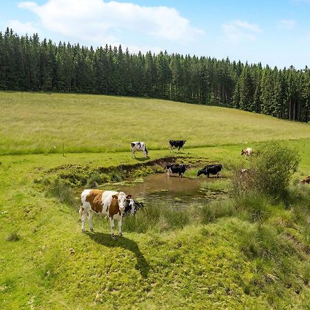 Ferienwohnung Duffner Schonach im Schwarzwald 외부 사진