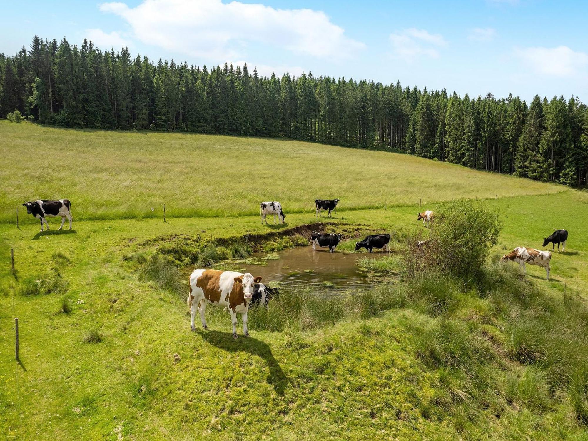Ferienwohnung Duffner Schonach im Schwarzwald 외부 사진