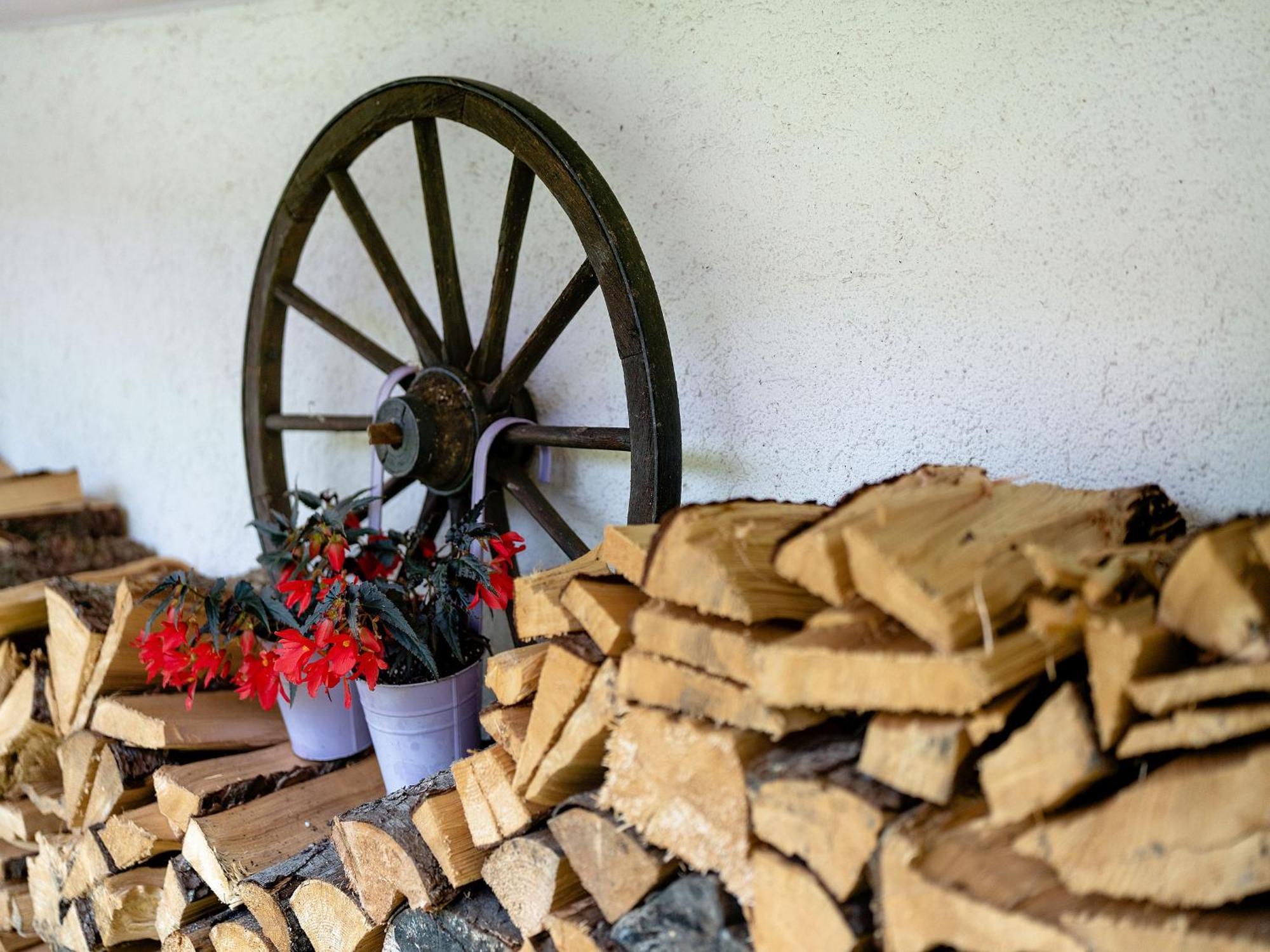 Ferienwohnung Duffner Schonach im Schwarzwald 외부 사진