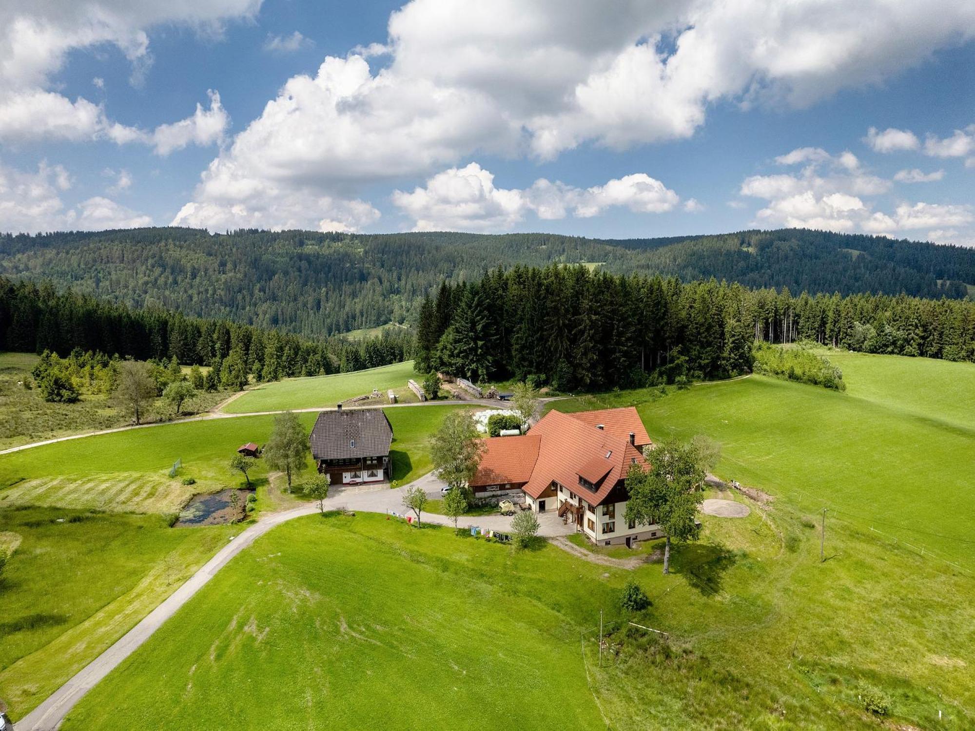 Ferienwohnung Duffner Schonach im Schwarzwald 외부 사진