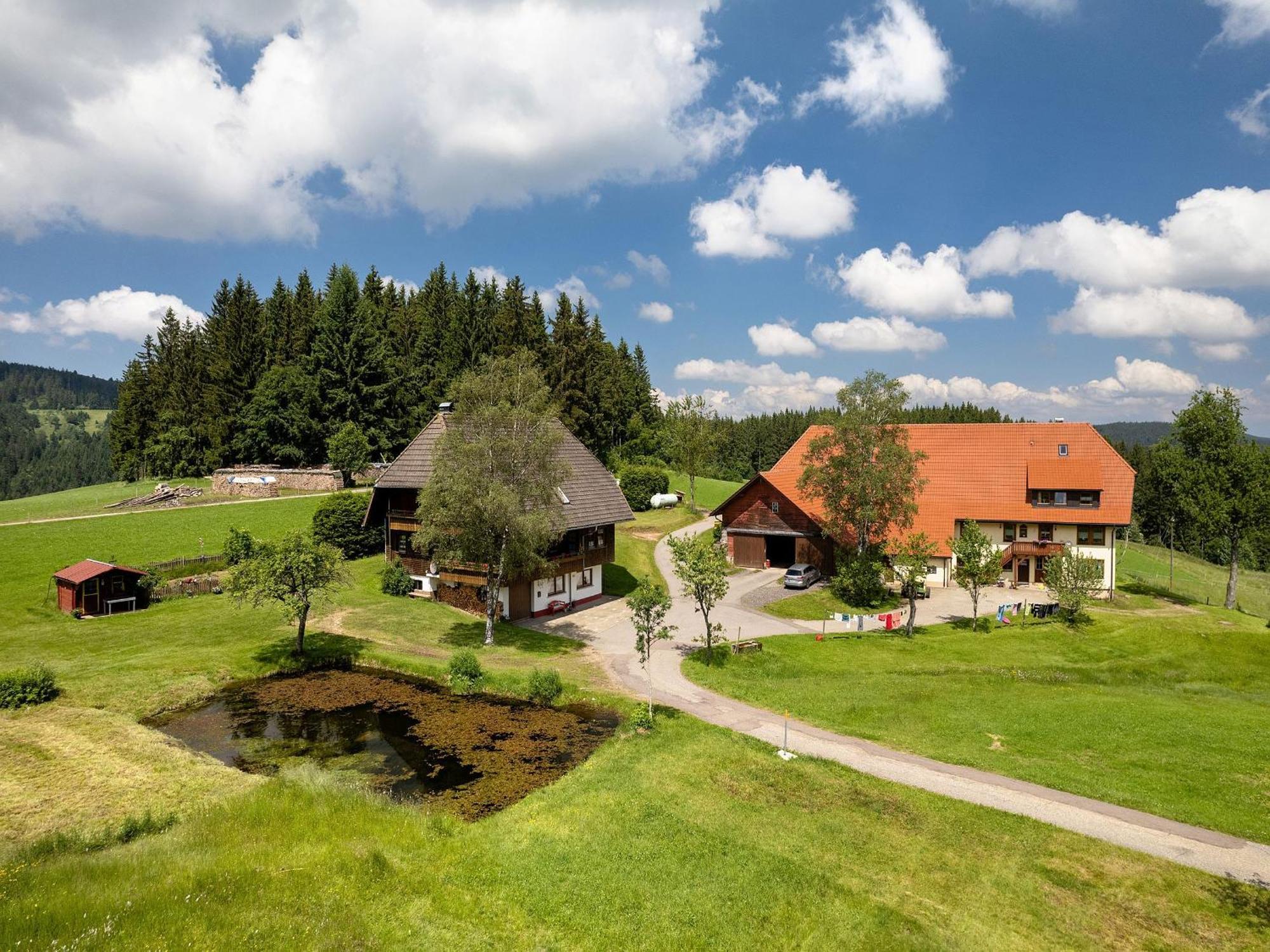 Ferienwohnung Duffner Schonach im Schwarzwald 외부 사진