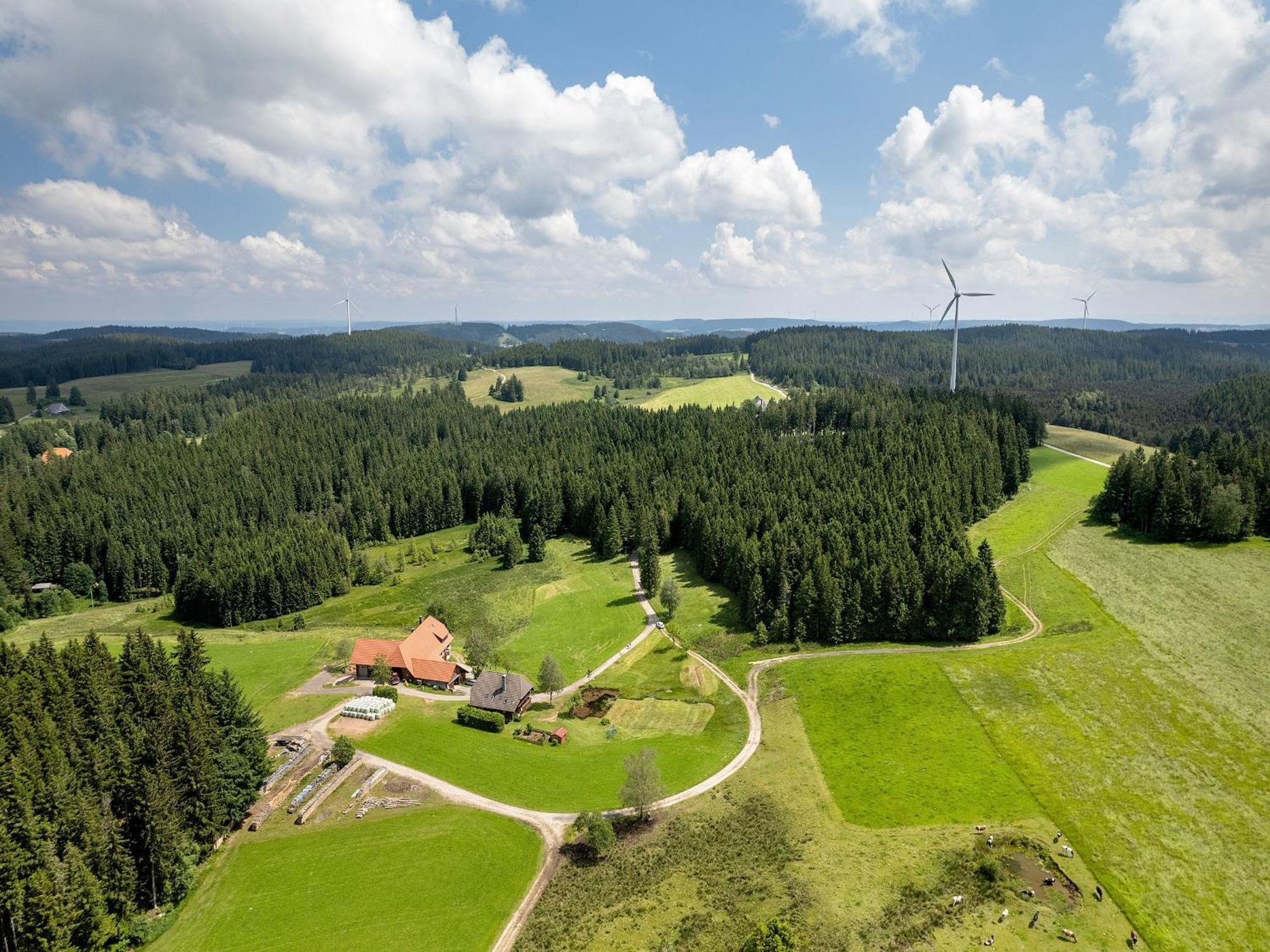 Ferienwohnung Duffner Schonach im Schwarzwald 외부 사진