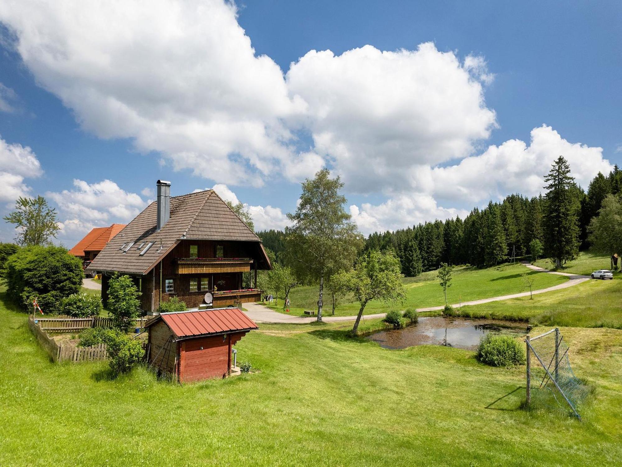 Ferienwohnung Duffner Schonach im Schwarzwald 외부 사진